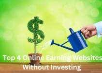 Top 4 Online Earning Websites Without Investing | writeonix.com