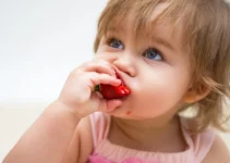 When Can a Baby Eat Strawberries? A Parent’s Guide to the Subject Introduction